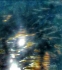 Memorie Dissipate